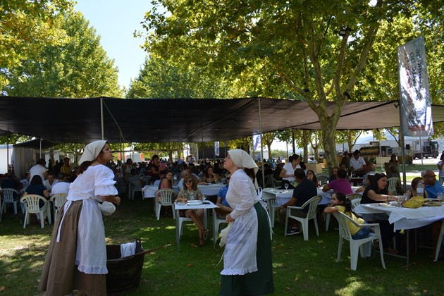 Imagem Ponto de Interesse - Festival Sopas De Peixe 9 