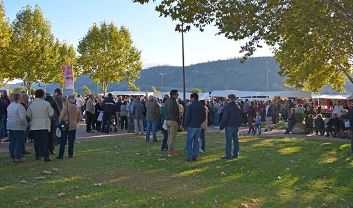 Imagem Ponto de Interesse - Feira Santos 3