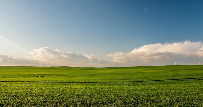 Imagem Ponto de Interesse - Agricultura 1 Site
