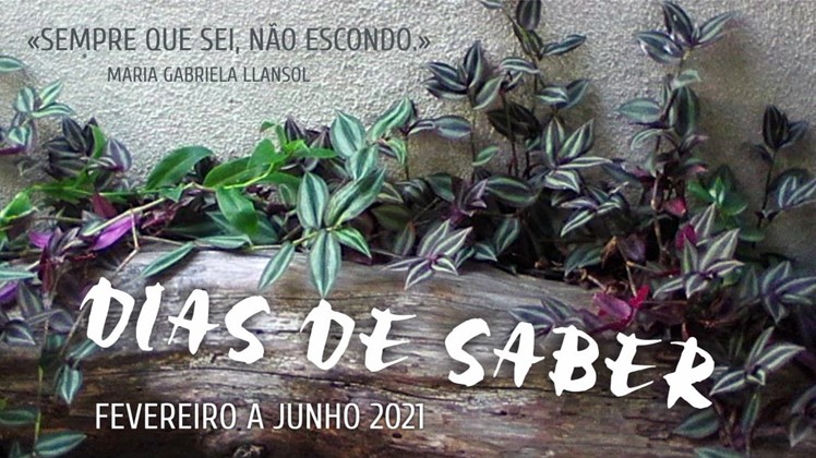 Imagem Ponto de Interesse - Dias De Saber 2021