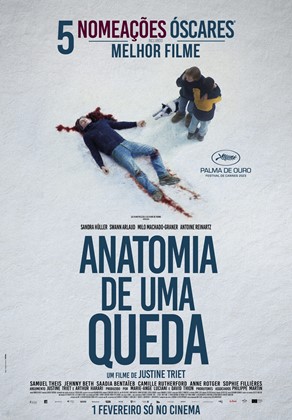 Imagem Ponto de Interesse - Anatomia De Uma Queda