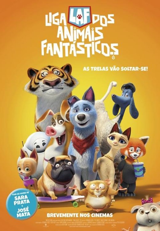 Imagem Ponto de Interesse - Liga Animais