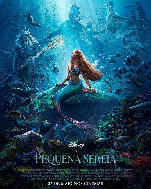 Imagem Ponto de Interesse - A Pequena Sereia