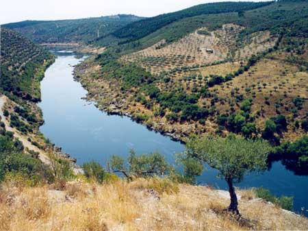 Imagem Ponto de Interesse - Rio Tejo Junto A Barragem De Cedilho