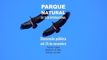 Imagem Notícia - PNTI 16 9