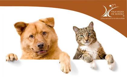 Imagem Notícia - Campanha De Esterilização 21 Simples