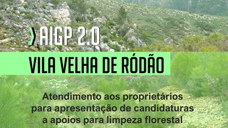 Pan RS REDESFLORESTA26