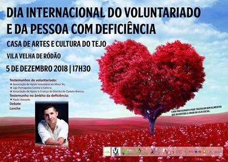 Imagem Evento - Anexo NI Dia Voluntariado