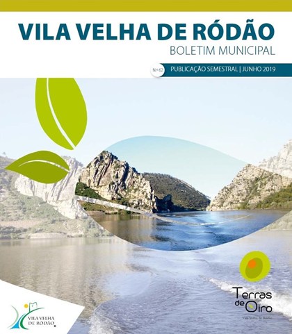 Imagem Publicação - Capa Boletim N 62
