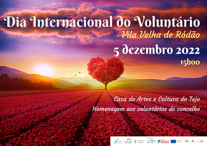 Imagem Notícia - Anexo NI Dia Internacional Voluntariado VVR