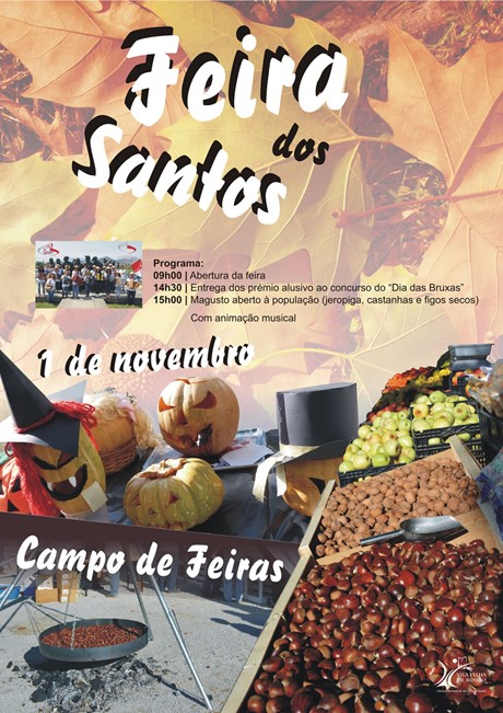 Imagem Evento - Feira Dos Santos Net