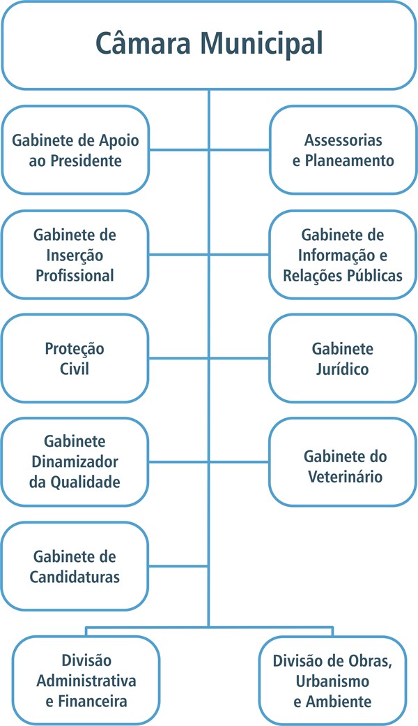 Organigrama Câmara Municipal