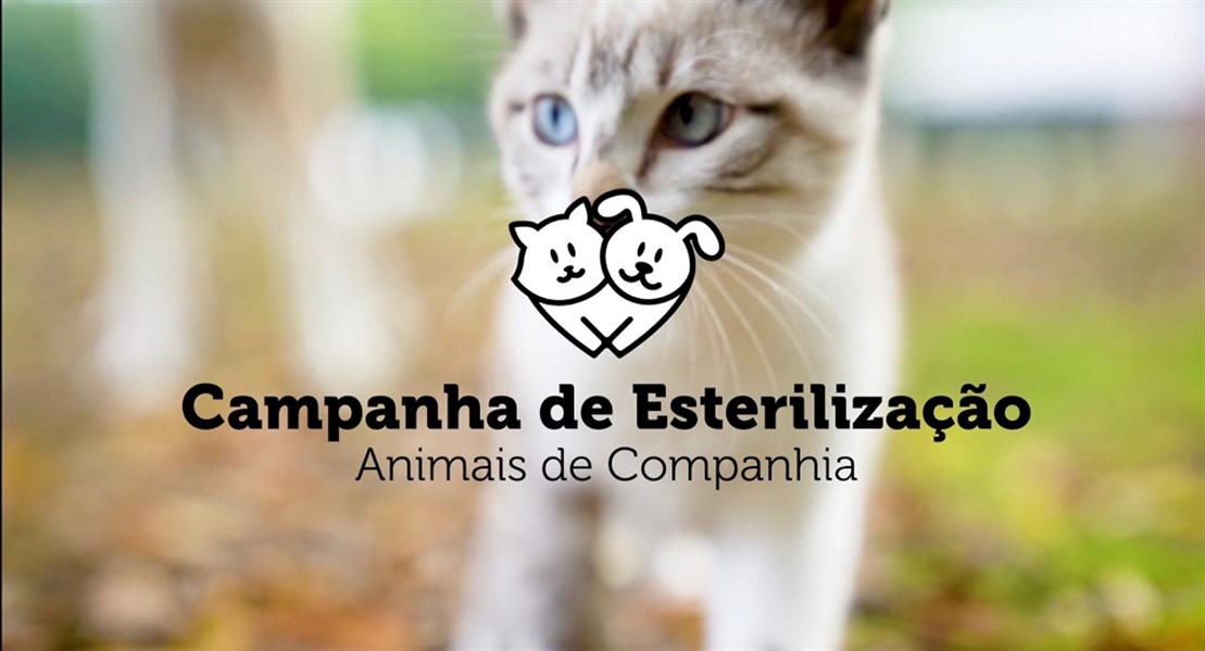 Campanha Esterelizacao