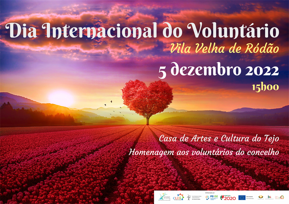 Anexo NI Dia Internacional Voluntariado VVR