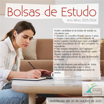Anexo NI Bolsas Estudo Ensino Superior 2023 CMVVR