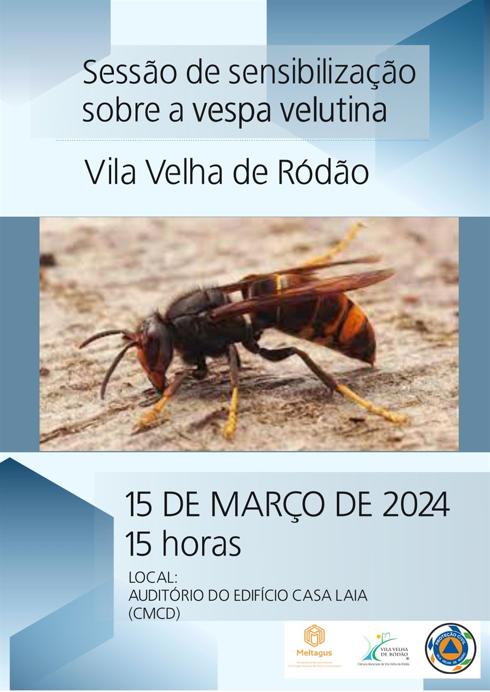 Cartaz Vespa Velutina