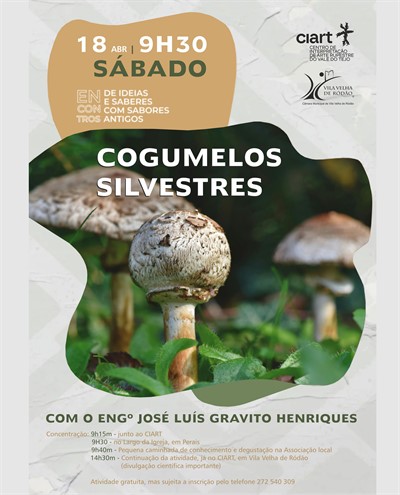 Cartaz Caminhada Ciart4 5