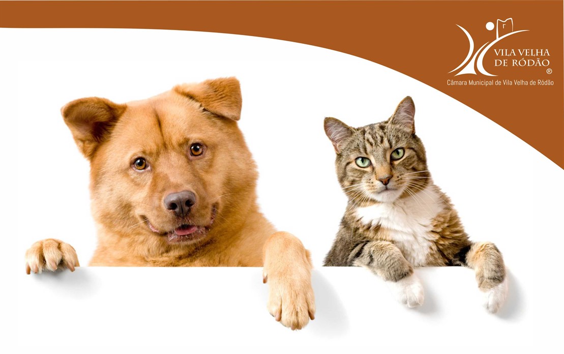 Campanha De Esterilização 21 Simples
