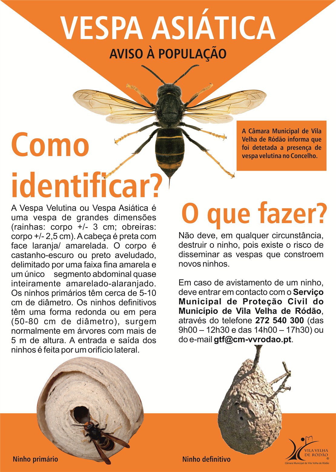 Informação Vespa Velutina 2 